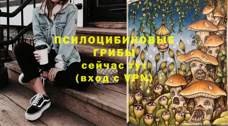 Галлюциногенные грибы Psilocybe Азнакаево